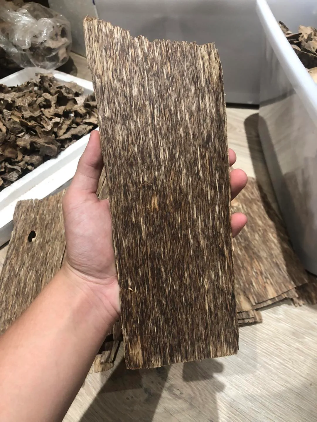 Vietnamese Agarwood Slabs – Premium “Sanh” with Single-Side Oil Layer